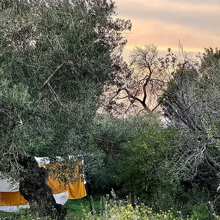 Cortijo La Sierrazuela *