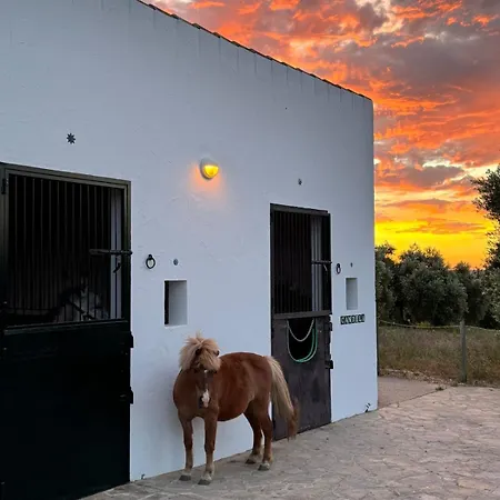 Cortijo La Sierrazuela